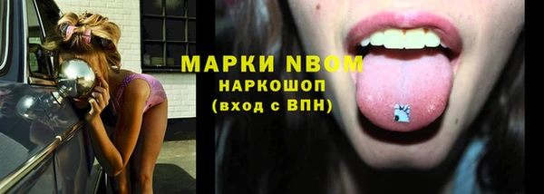 ECSTASY Липки