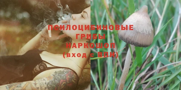 ECSTASY Липки